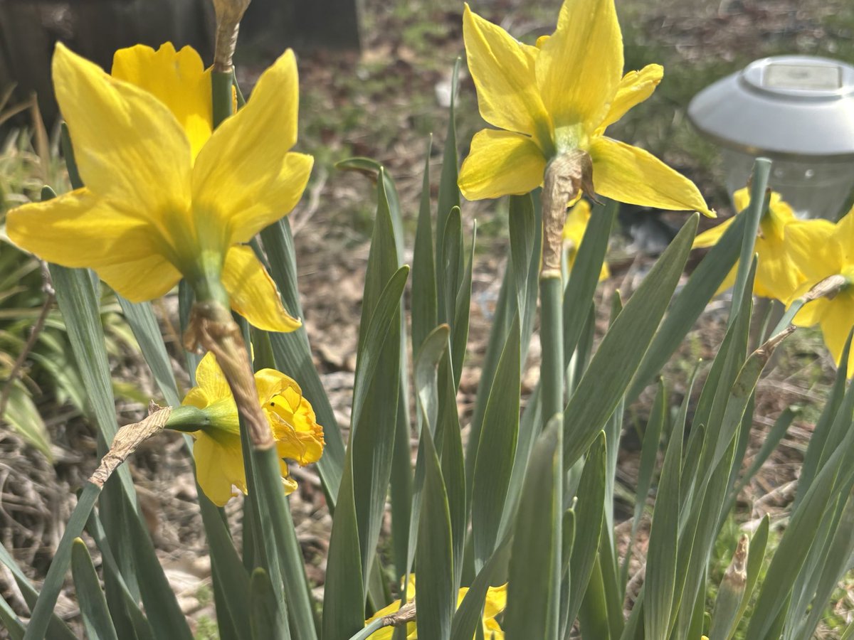 Wilson and friends tweet media