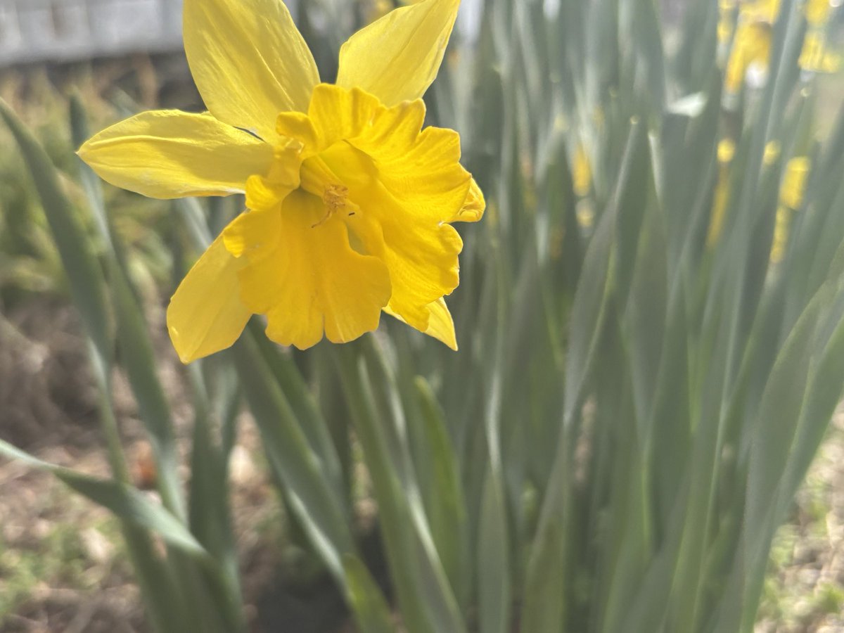 Wilson and friends tweet media