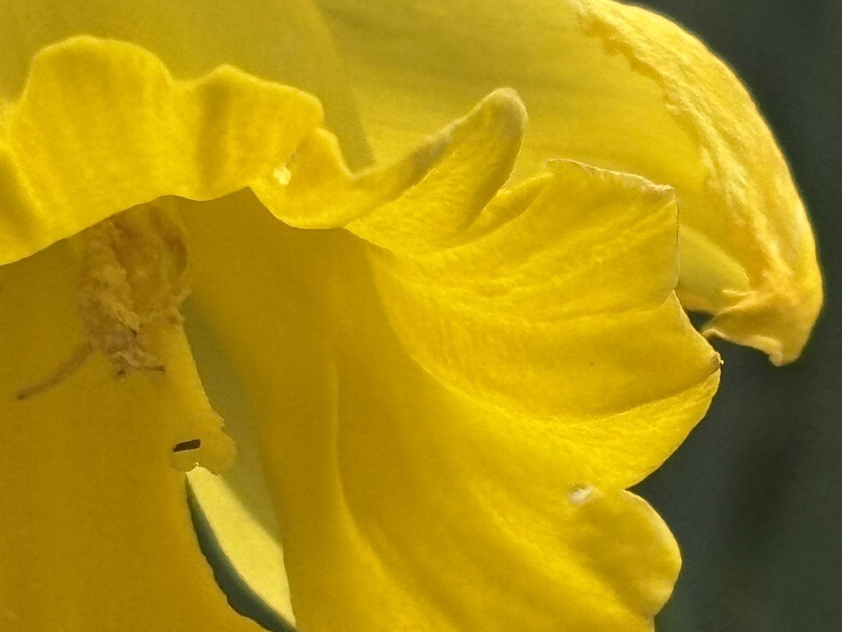 Wilson and friends tweet media