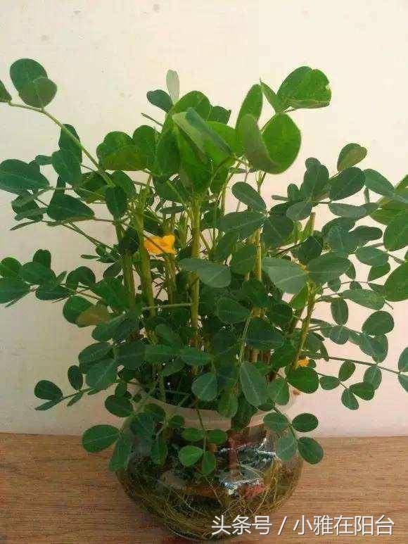 Deddy Liem tweet media