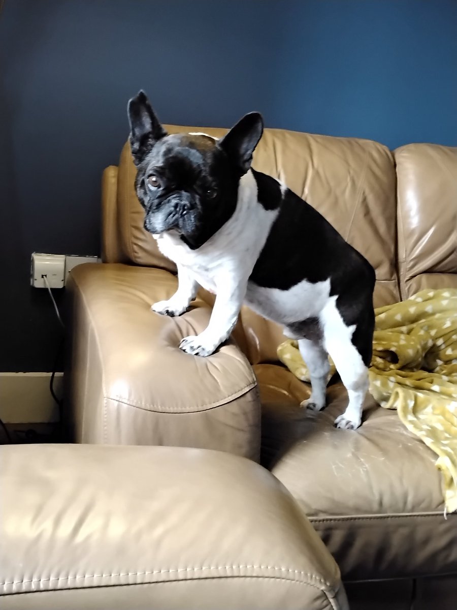 A Cork Composer 🇮🇪☘️🎵 tweet media