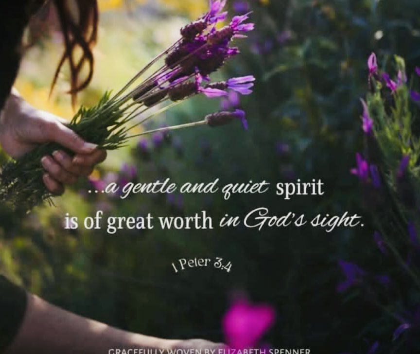 savedbygrace7 tweet media