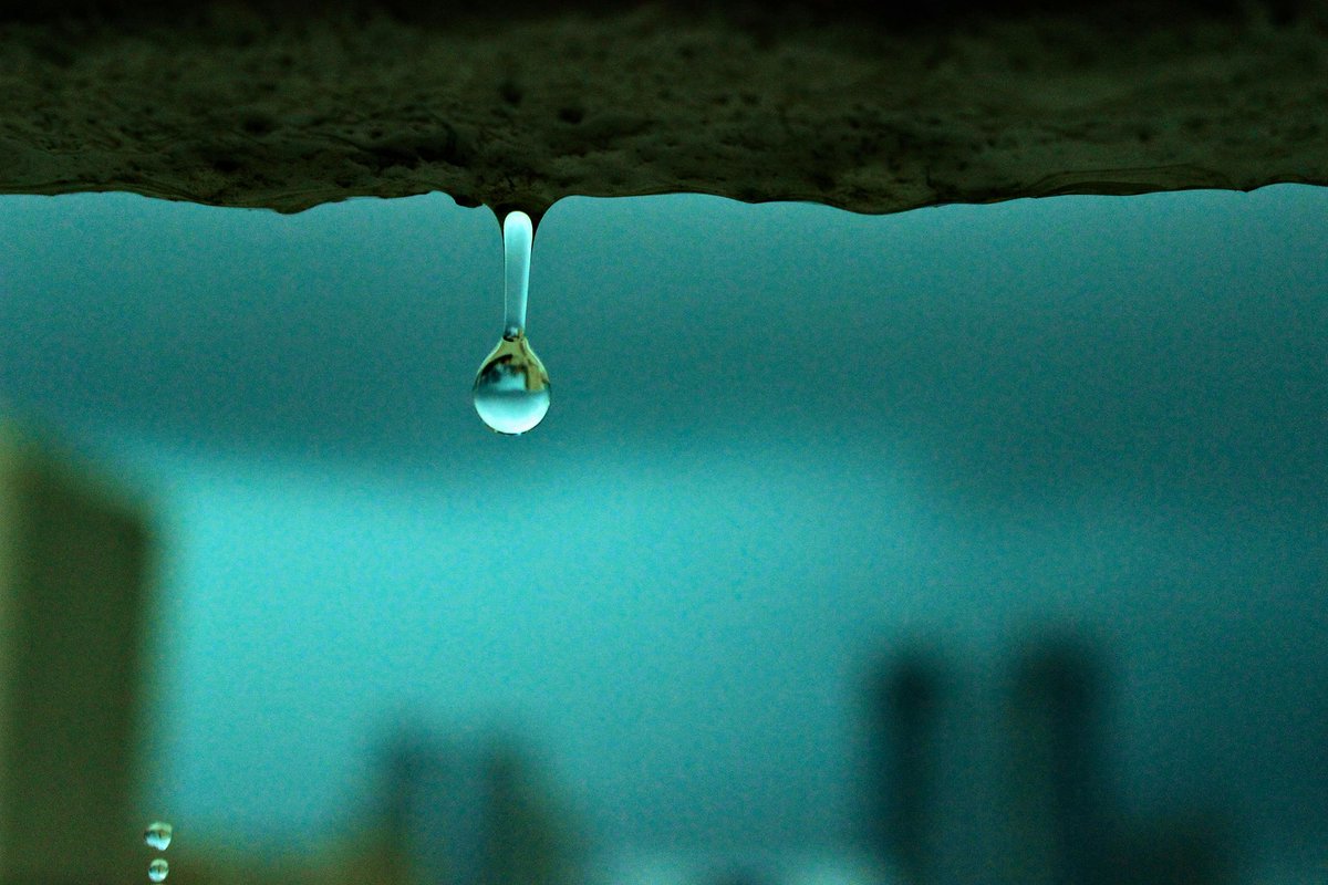 Dmyto Makhniaiev tweet media