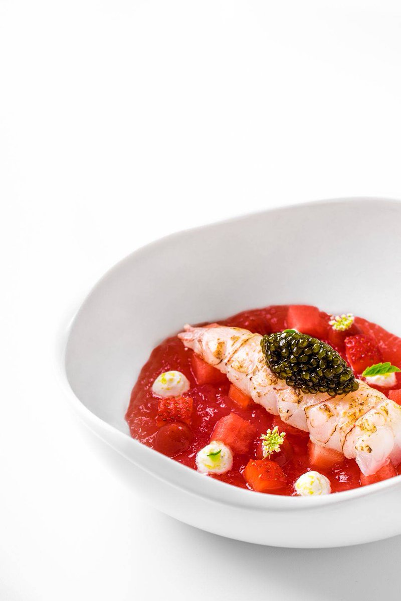 Екатерина Шишита tweet media