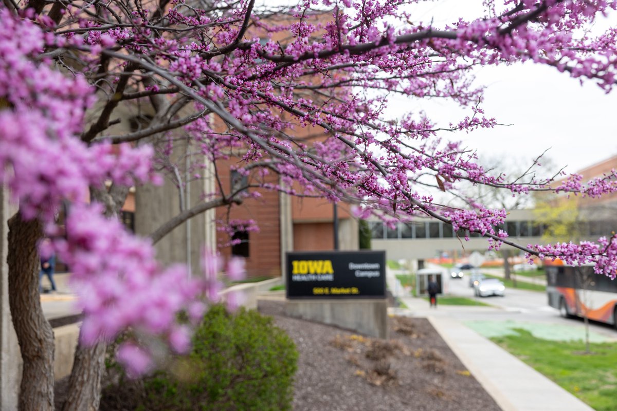 University of Iowa Health Care tweet media