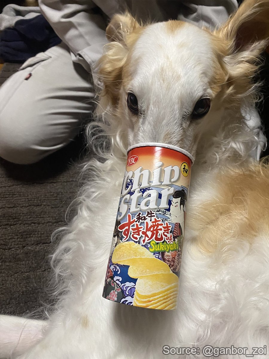 Borzoibot tweet media