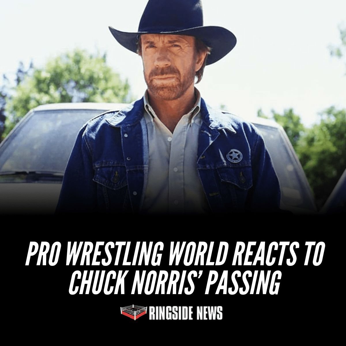 PWStream tweet media