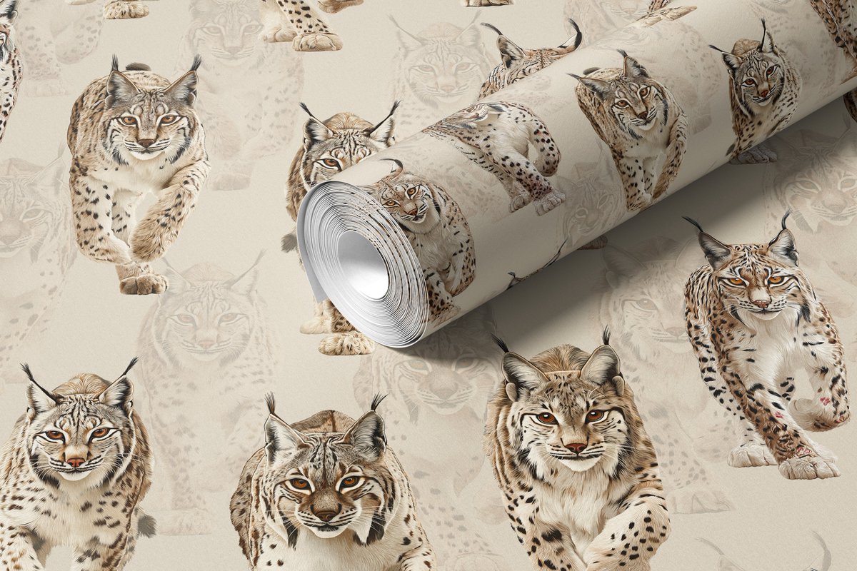 imrikStudio® tweet media