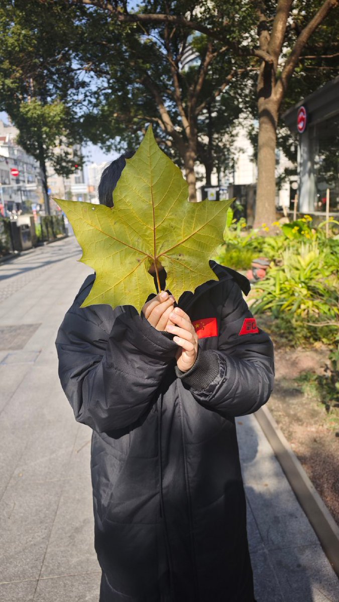 Lars Lundberg tweet media