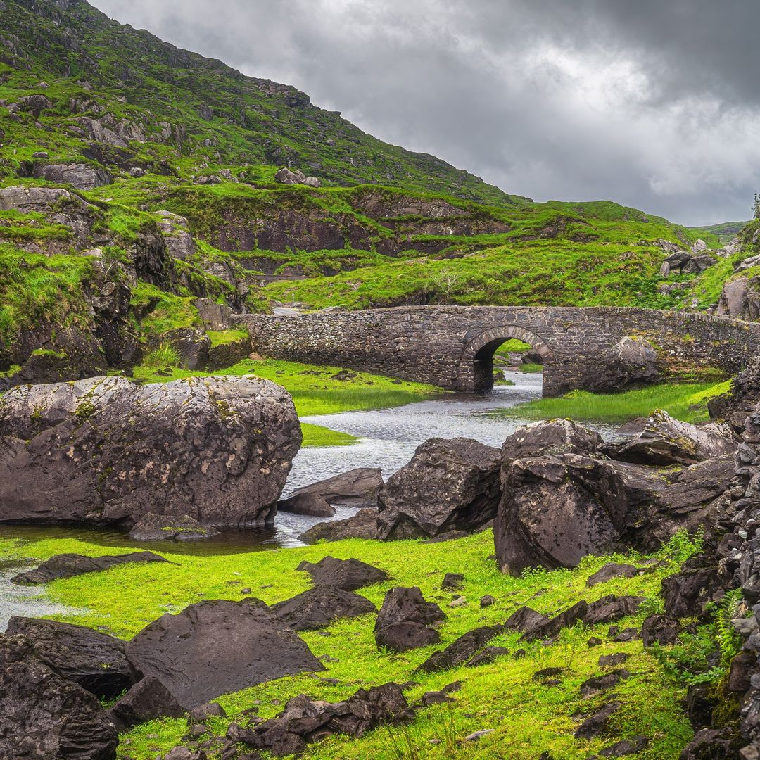 Love Ireland tweet media