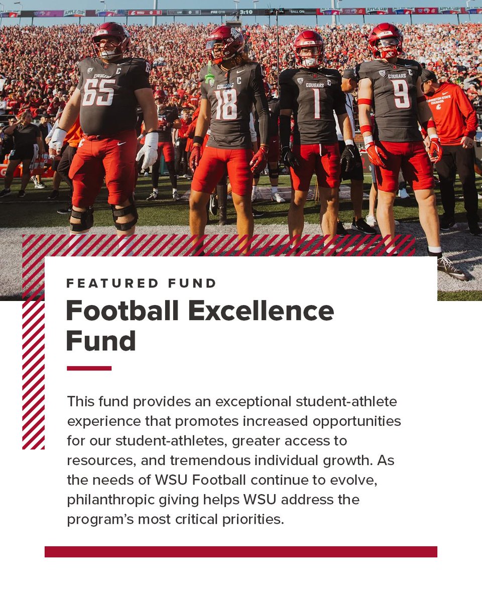 WSU Foundation tweet media