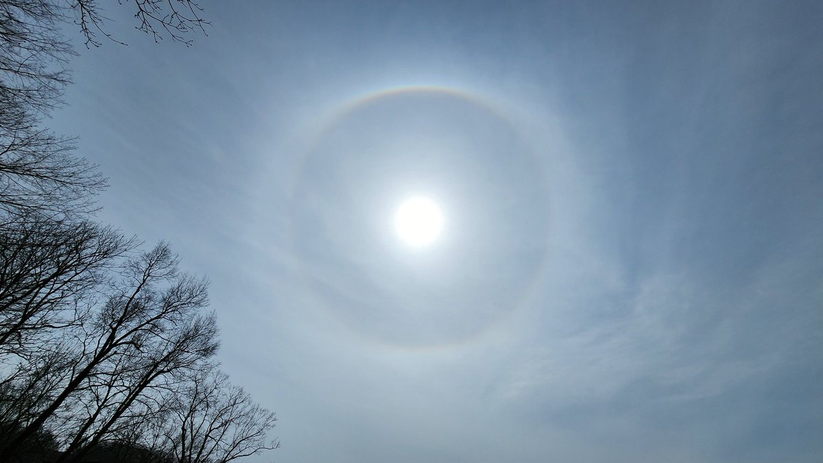 TooLateBlue tweet media