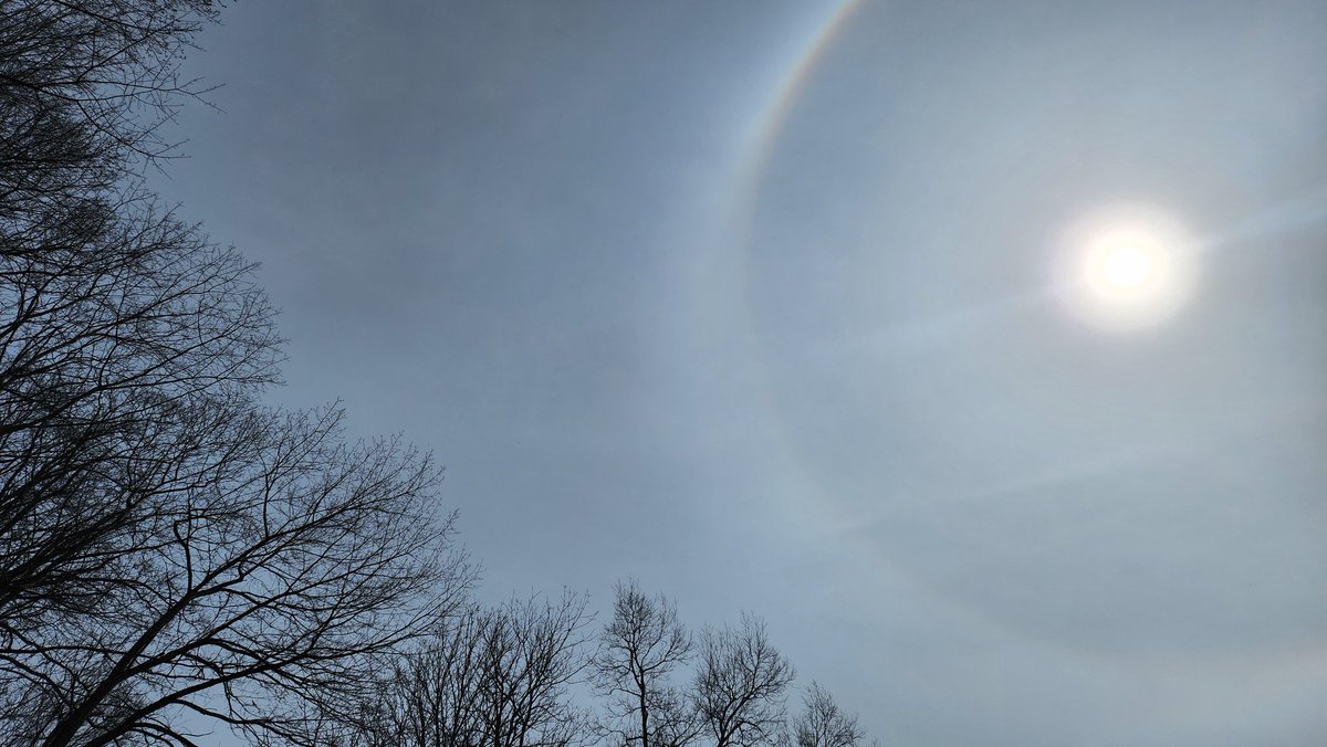 TooLateBlue tweet media