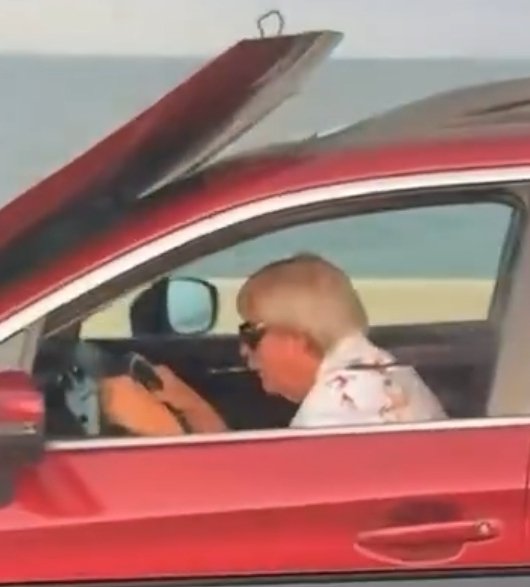 Fluxcapacitated tweet media