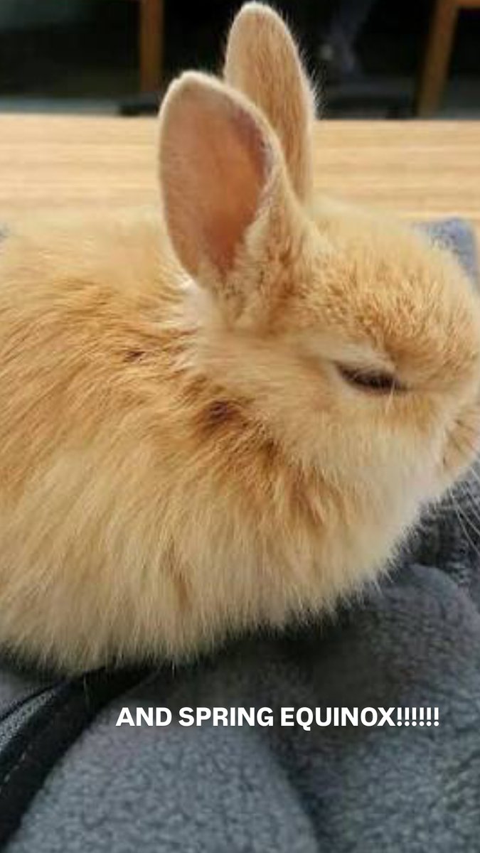 halseyfan.com tweet media