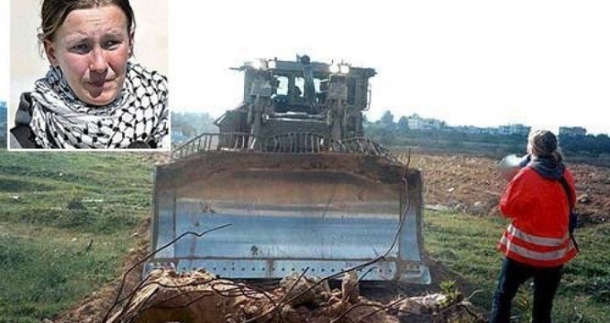 Şeref Oğuz tweet media