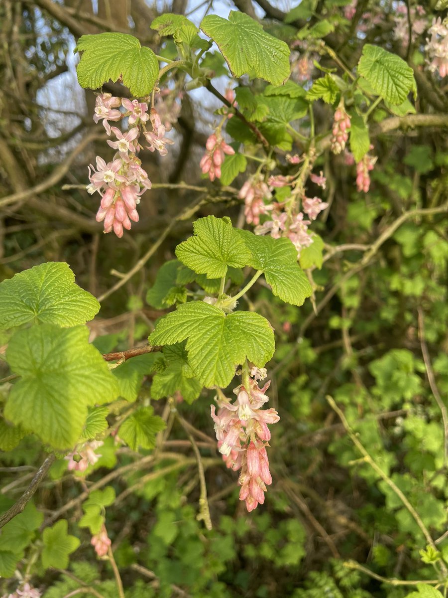 GayeMoore tweet media