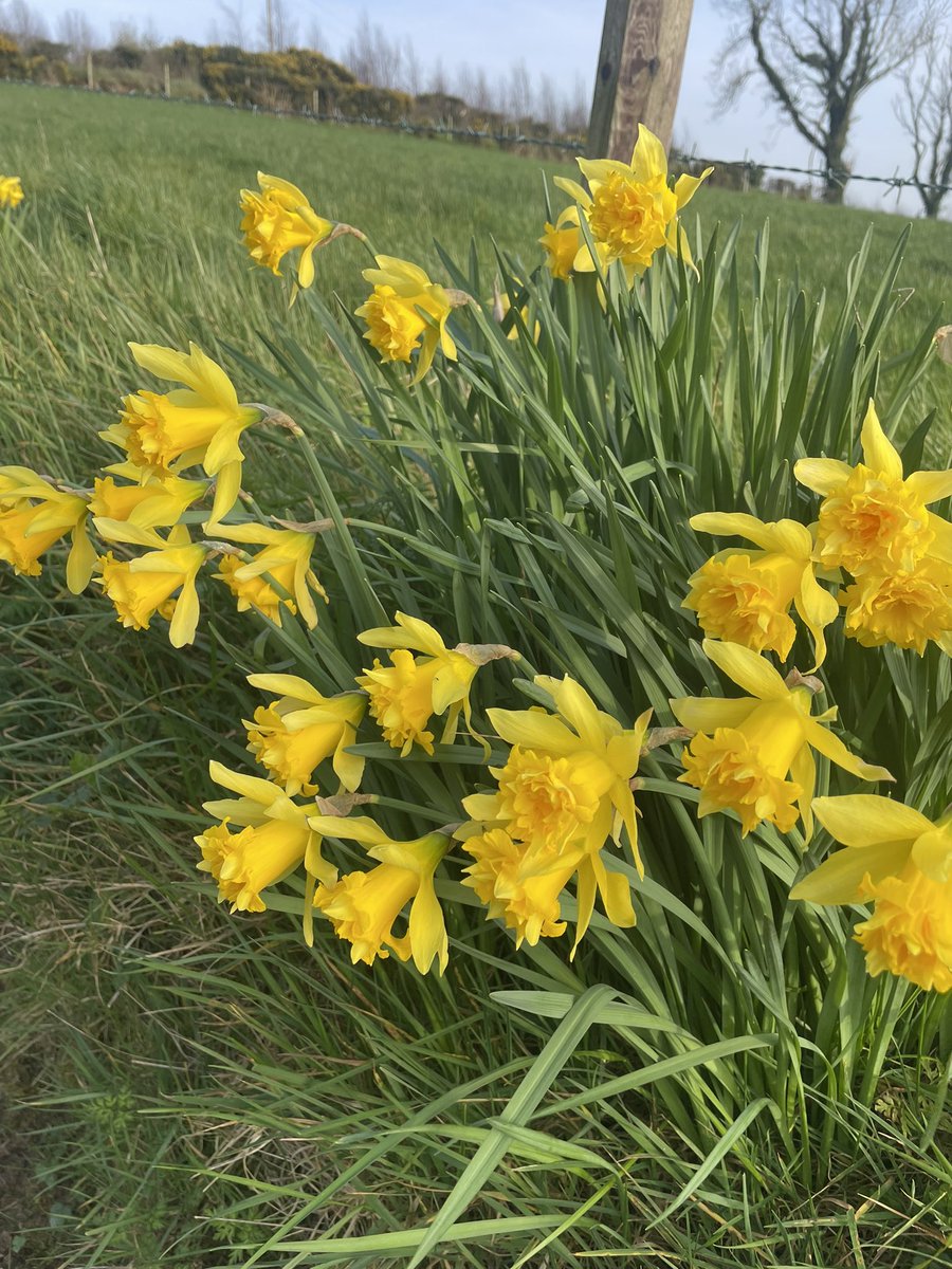 GayeMoore tweet media