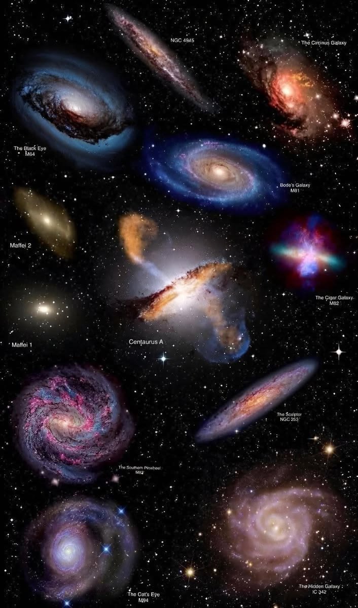 Patryk/Ramesses II tweet media