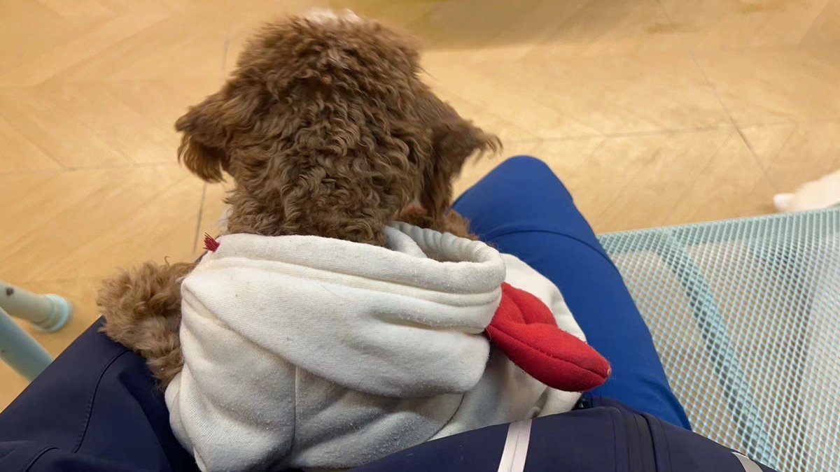 Jill Dudenhoeffer tweet media