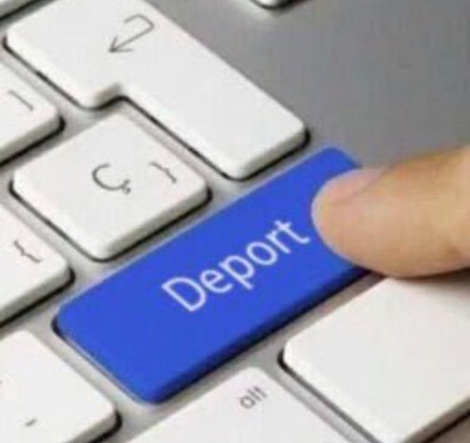 Newspeak tweet media