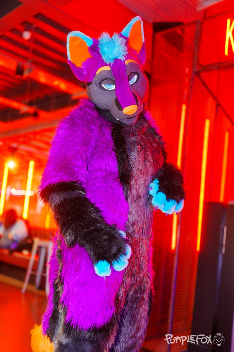 💜 Arcizo 🧡 Puppy 🩵 tweet media