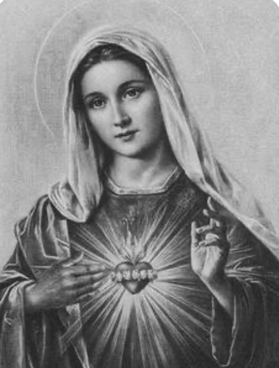 Brian Burgess tweet media