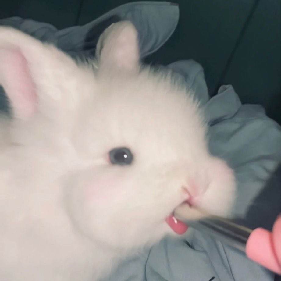 bluenicha ♡ tweet media