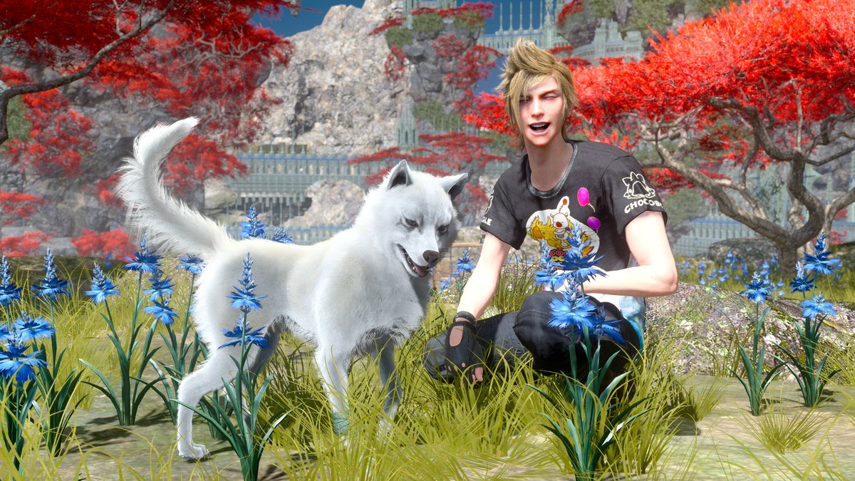 みる@FF11*FF15 tweet media