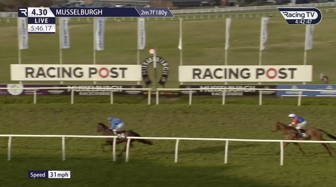 My Racing Tips tweet media