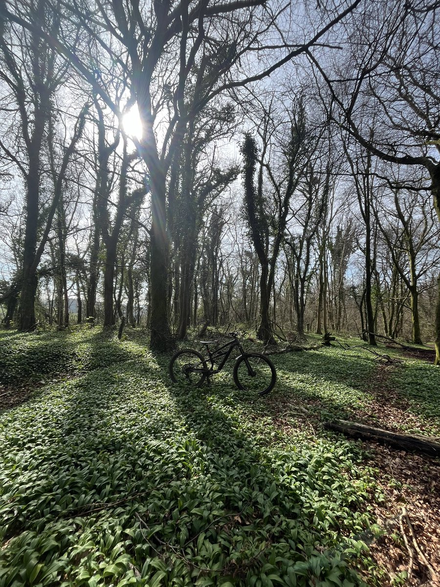 Julian Jones tweet media