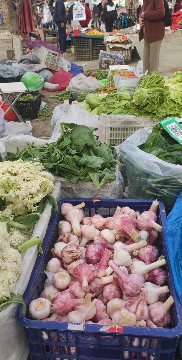 Lawrence Lau tweet media