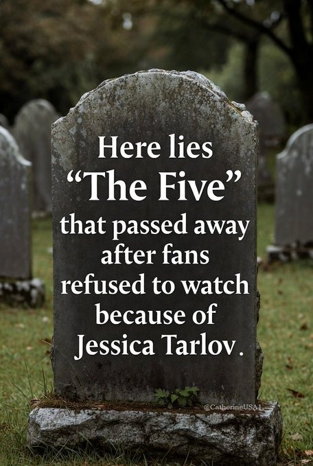 Mary T Scully tweet media