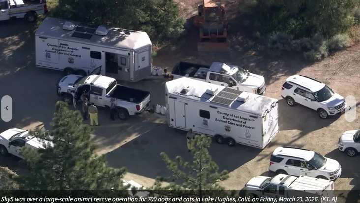 Save America🐺💔 🇺🇸 💪🦅⌛️🙏 Save America tweet media