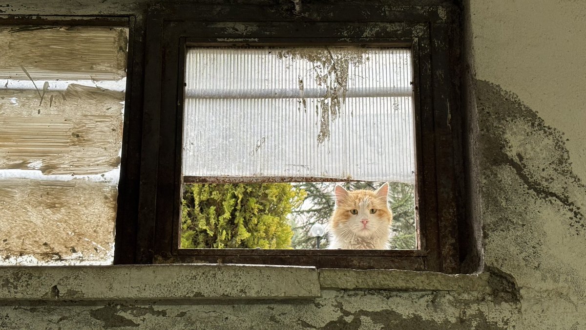 - (@dagyesili) on Twitter photo 