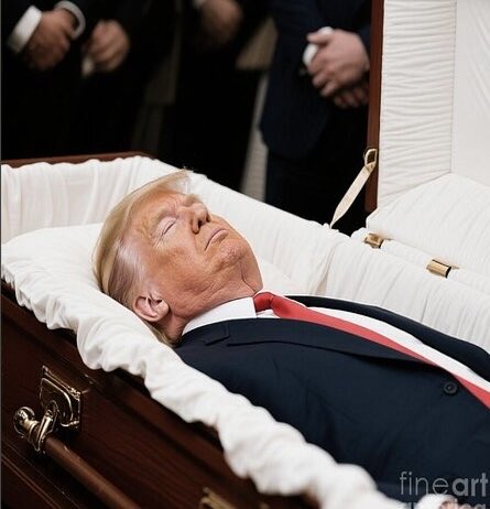 Canada Hates Trump tweet media