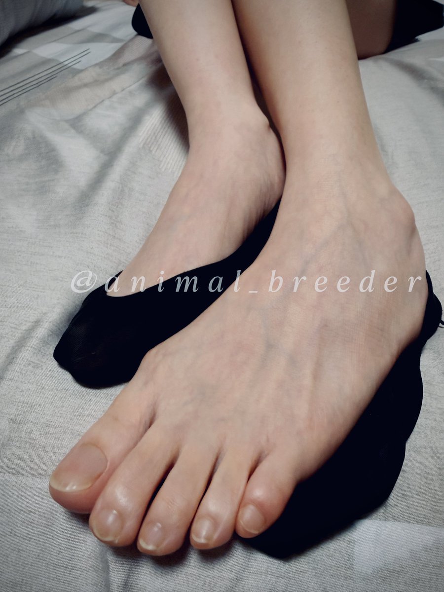 動物飼養員 tweet media