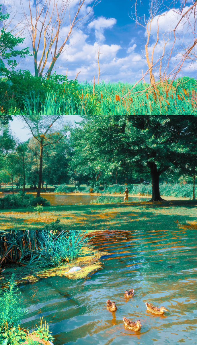 Oreste Mercado tweet media