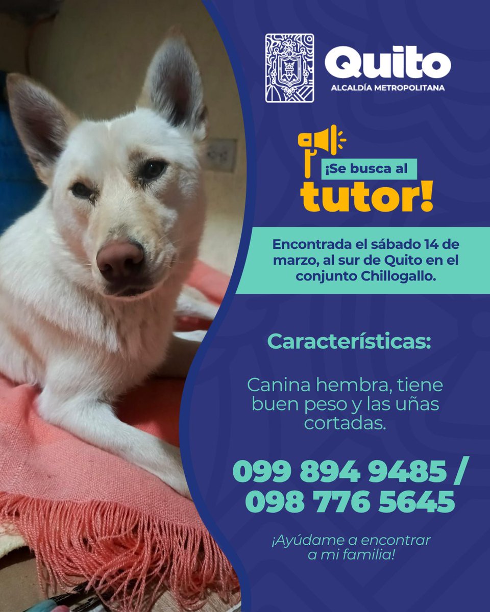 Unidad de Bienestar Animal Quito tweet media