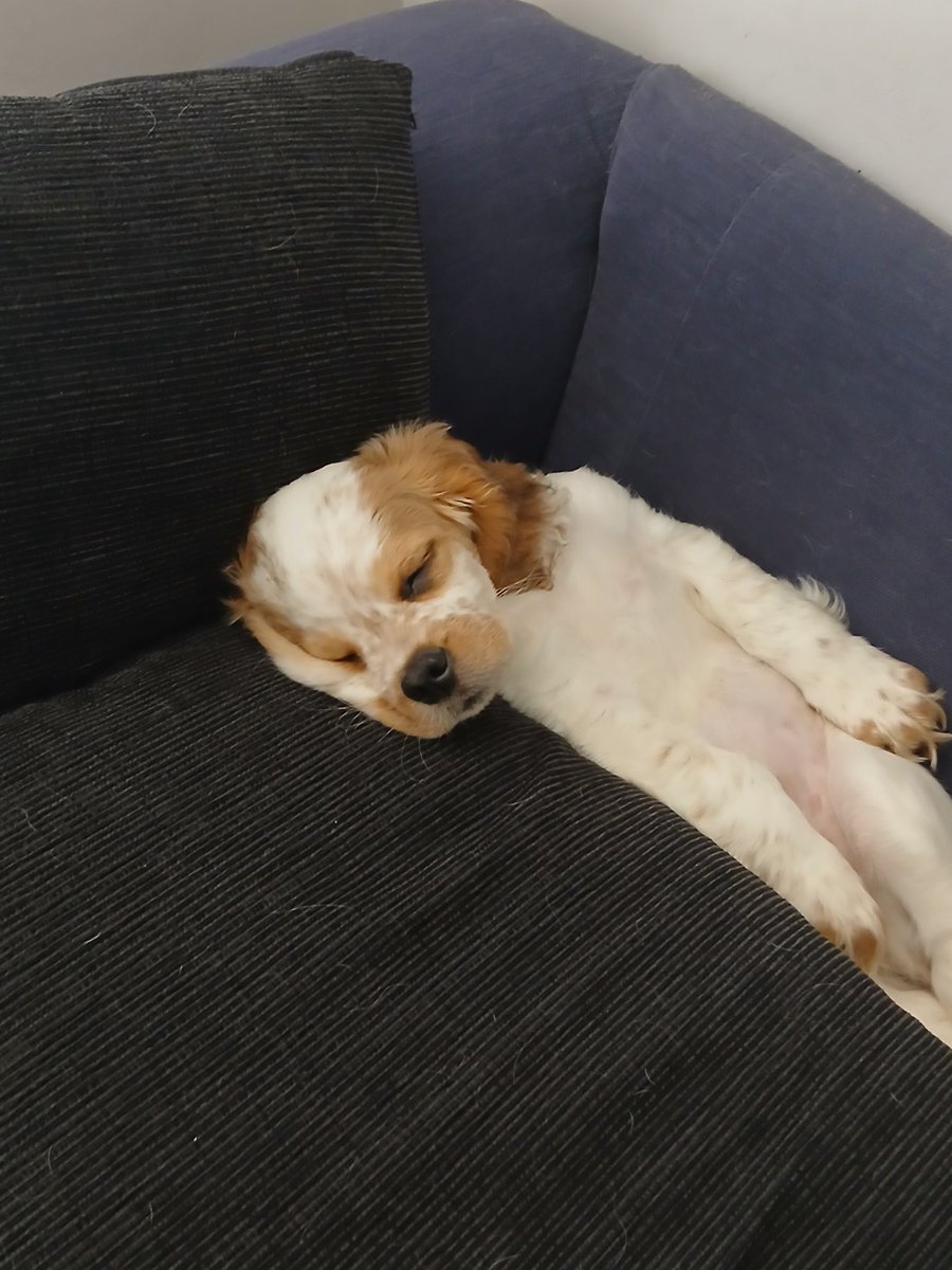 Leeds Fella : Slava Ukraini 🇺🇦 🇬🇧🇨🇦🇲🇽🇪🇺 tweet media