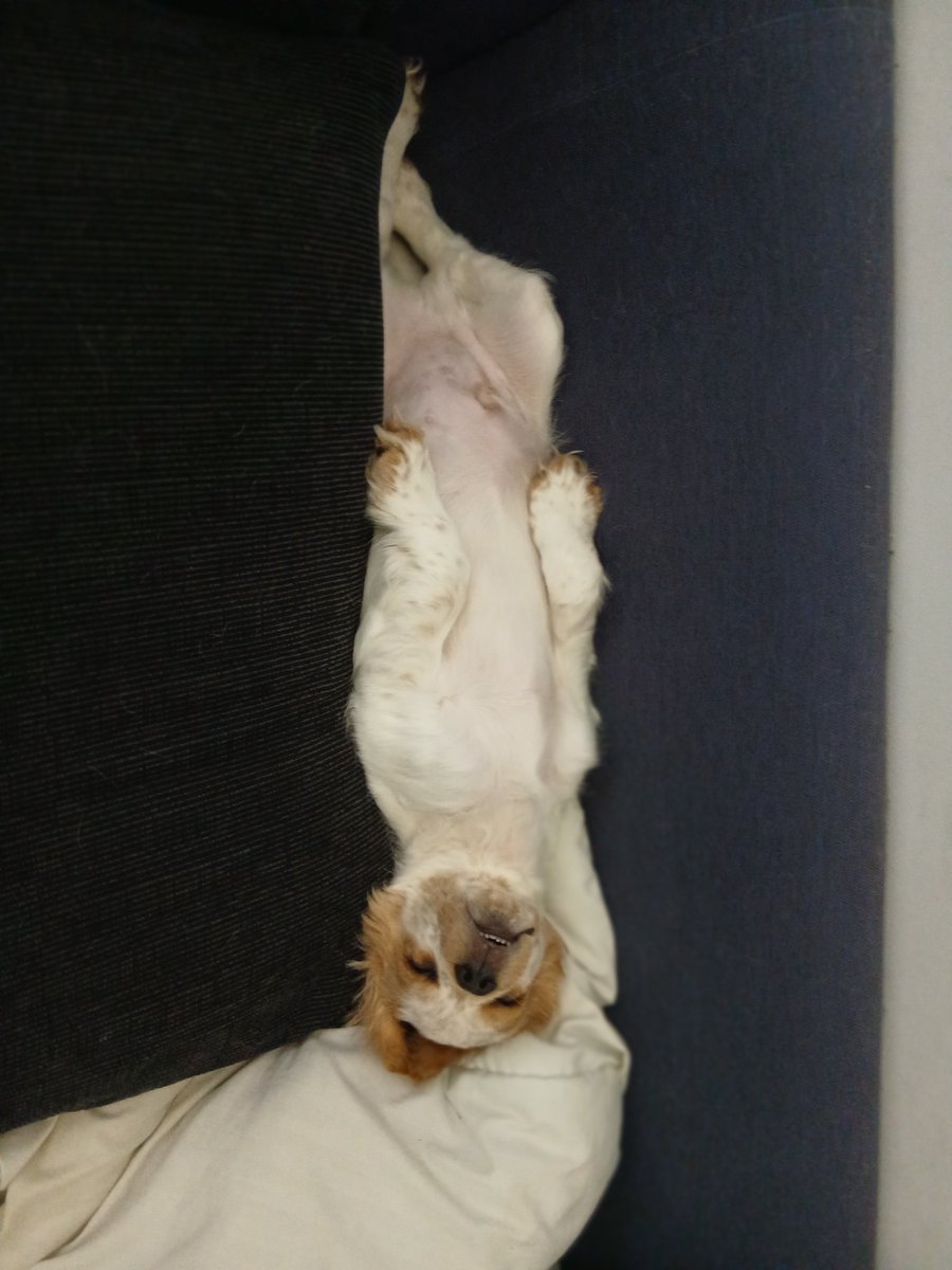 Leeds Fella : Slava Ukraini 🇺🇦 🇬🇧🇨🇦🇲🇽🇪🇺 tweet media