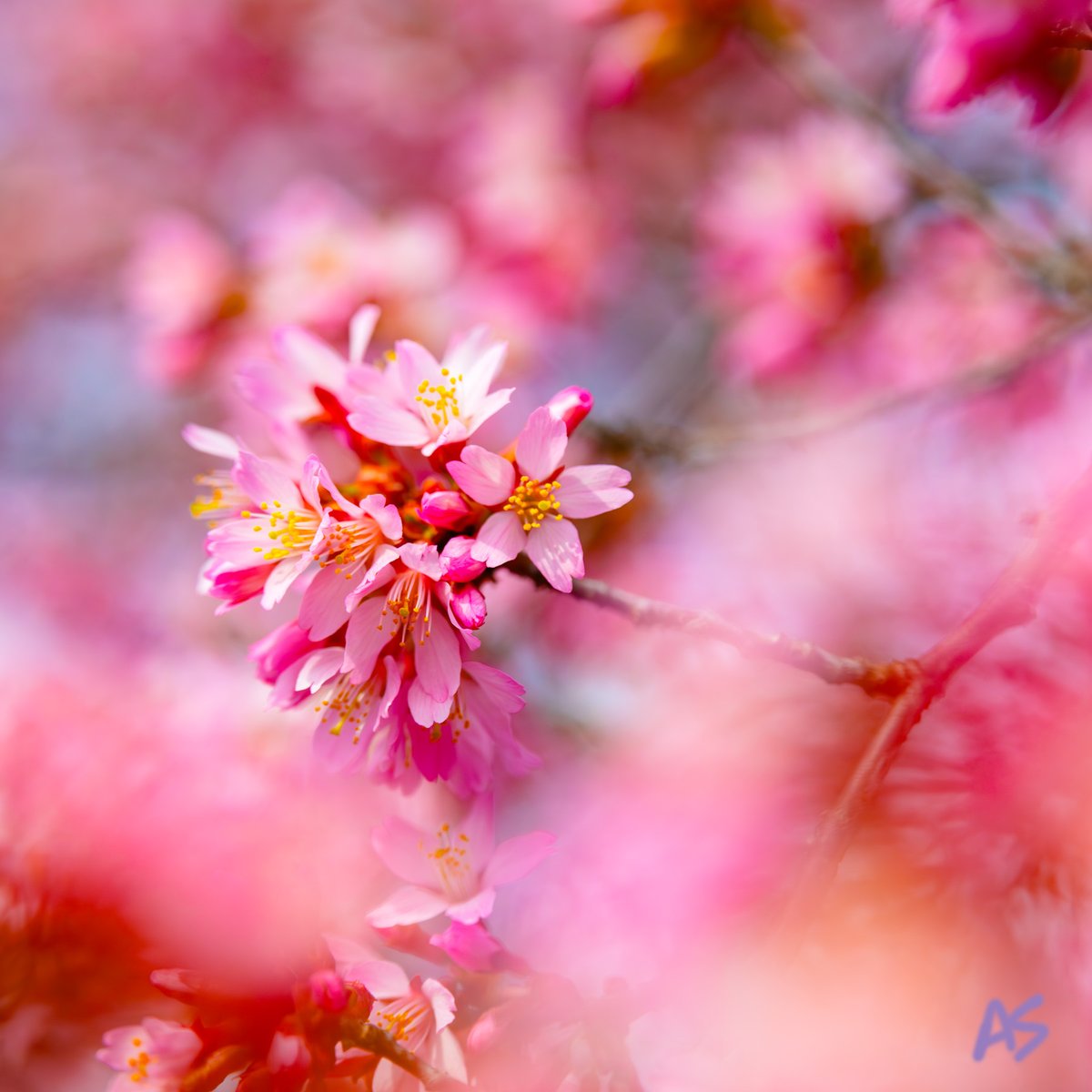 Andy Spessard tweet media