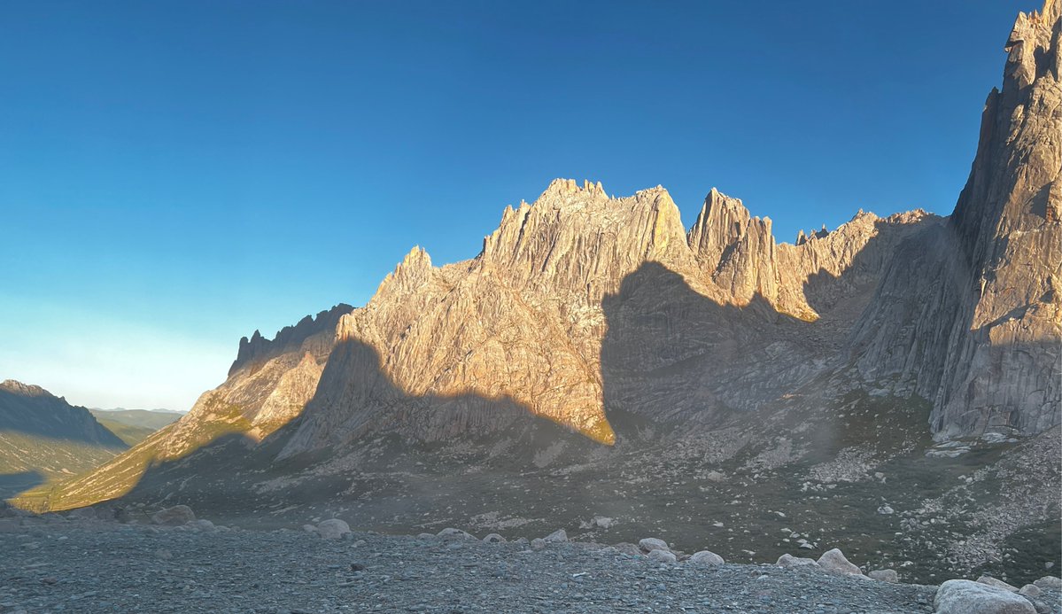 Nelson Morin tweet media