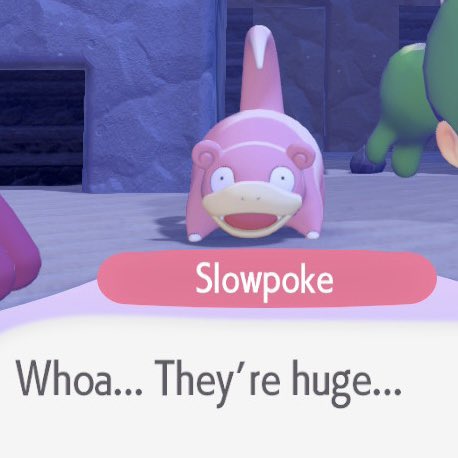 year of pheebz tweet media