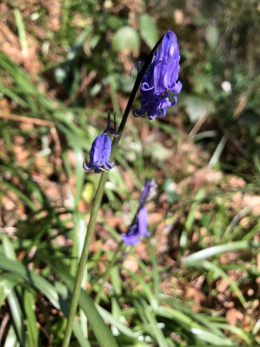 Margaret Gray tweet media