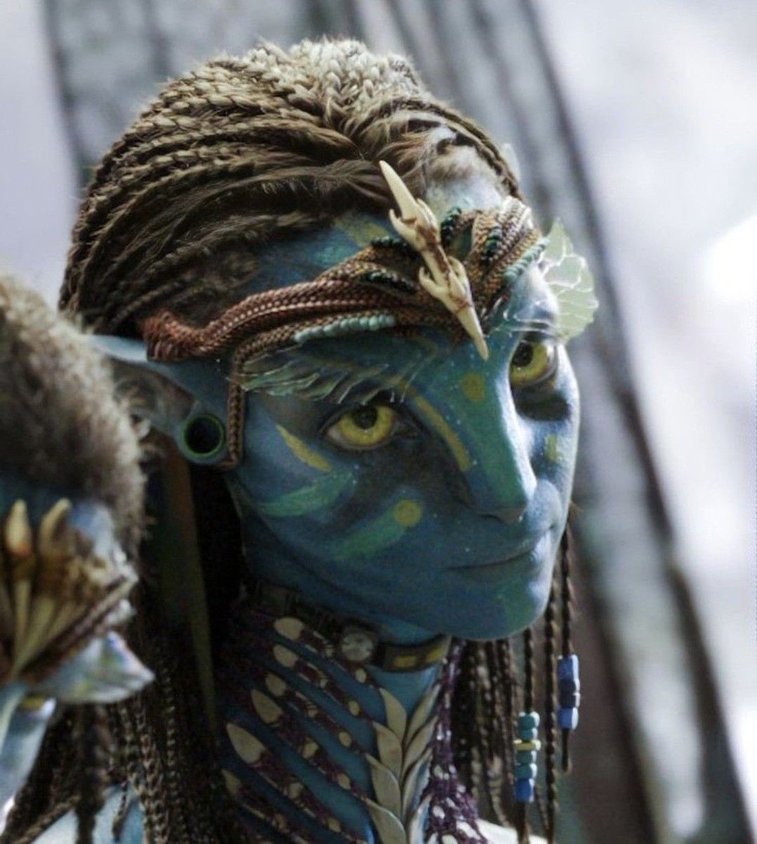 ︎ ︎ ︎ ︎ ҂ .; 𝘁𝗵𝗲 𝐓𝙸𝙶𝚁͟𝙴͟𝚂͟𝚂͟。͟ tweet media