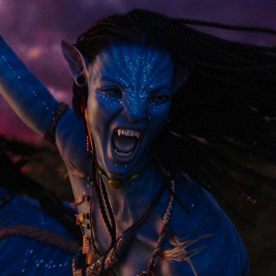 ︎ ︎ ︎ ︎ ҂ .; 𝘁𝗵𝗲 𝐓𝙸𝙶𝚁͟𝙴͟𝚂͟𝚂͟。͟ tweet media