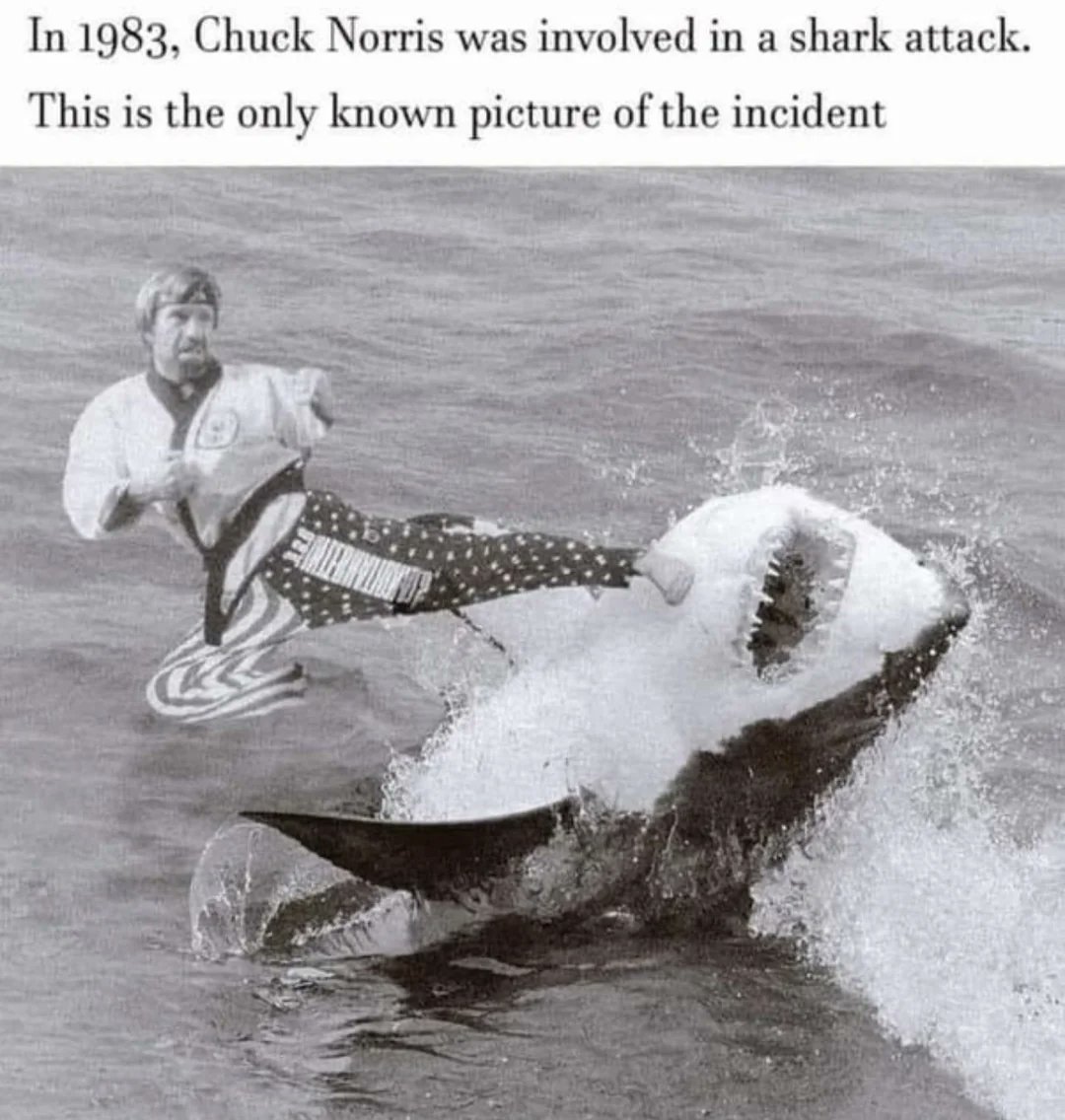 Porter Stowell tweet media