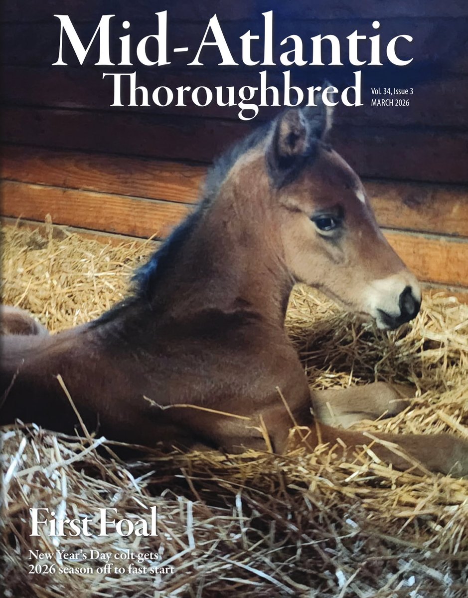 Mid-Atlantic Thoroughbred tweet media