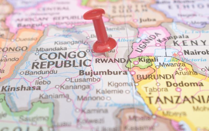 Real Truth Media tweet media